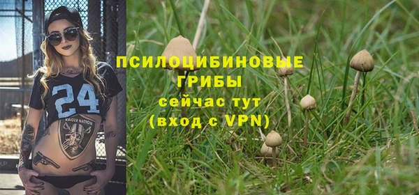 марки lsd Алзамай
