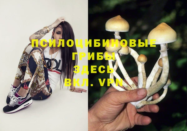 PSILOCYBIN Алексин