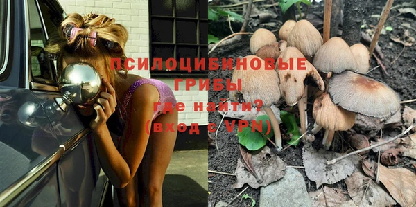PSILOCYBIN Алексин