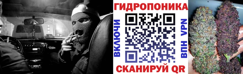 Каннабис MAZAR Шимановск