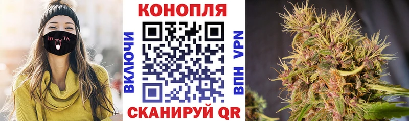 Бошки марихуана план Шимановск